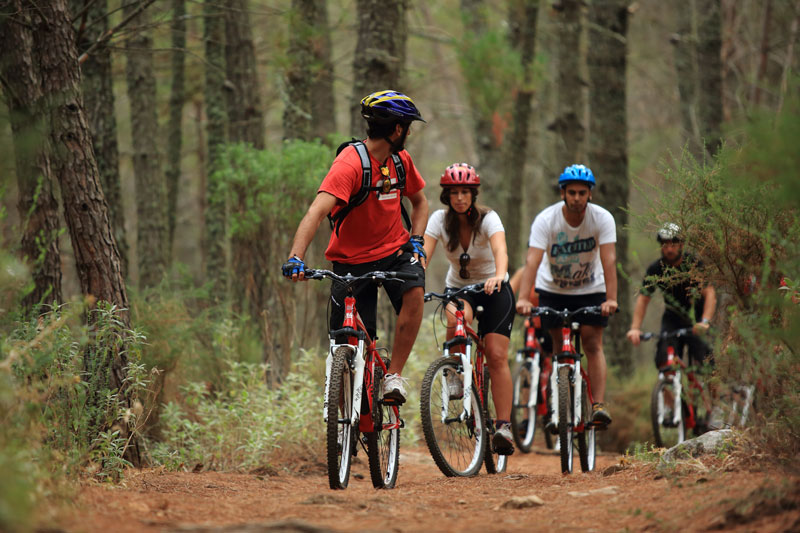 team building desafio de la sierra norte team building reforestacion rsc