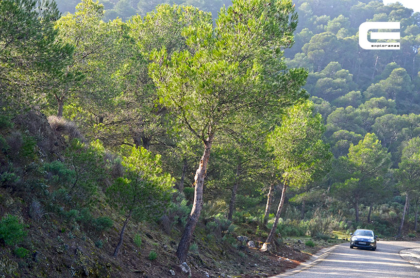 Press-Trip-Malaga-5-Exploramas-Patronato-Turismo-Costa-del-Sol