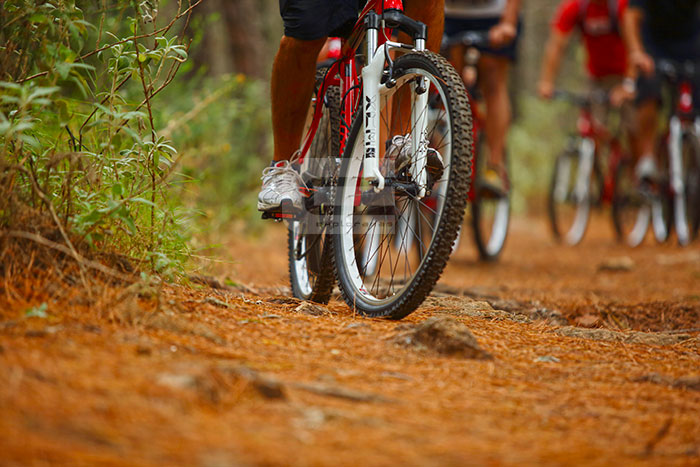 ruta-mountain-bike-actividades-para-empresas-en-el-chorro