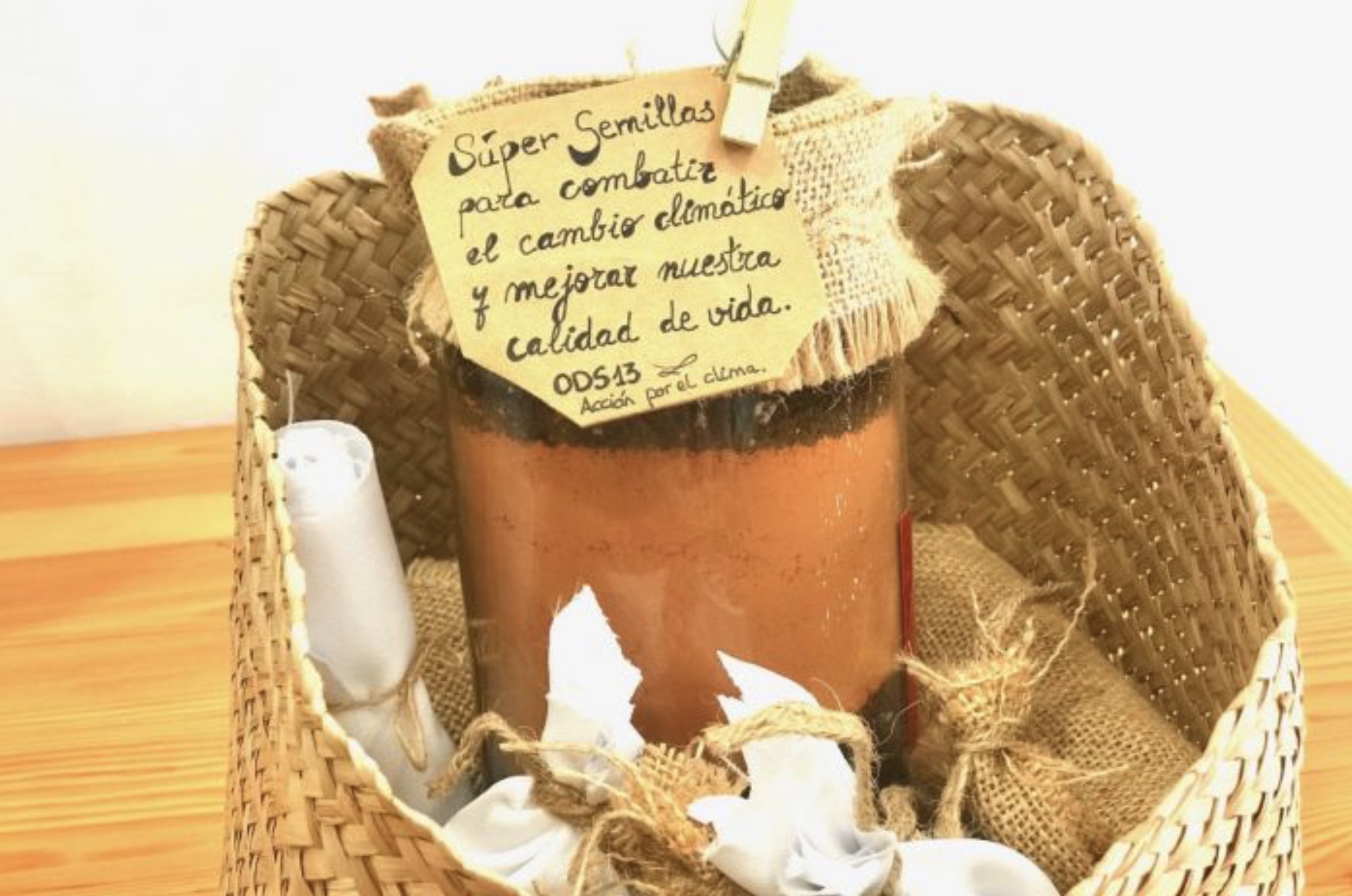 Reforestación Indoor Virtual. Team building On line